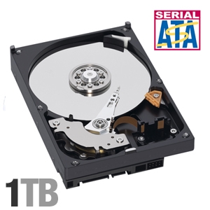 Seagate Barracuda 7200.11 1TB Hard Drive - 7200RPM, 32MB, SATA-300, OEM