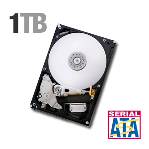 Hitachi 7K1000.B Hard Drive - 1TB, 7200RPM, 16MB, SATA-300, OEM