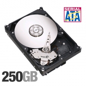 Seagate Barracuda 7200.10 250GB Hard Drive - 7200, 16MB, Serial ATA-300, OEM