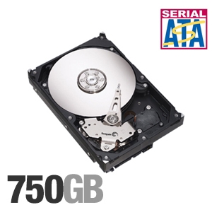 Seagate Barracuda 7200.10 750GB Hard Drive - 7200, 16MB, Serial ATA-300, OEM