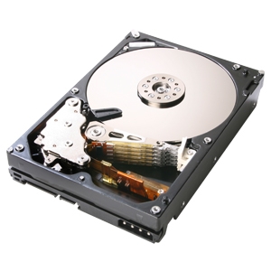 Hitachi Deskstar P7K500 500GB Hard Drive - 7200, 16MB, SATA-300, OEM