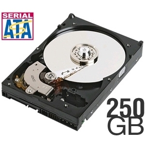 Seagate Barracuda 7200.10 250GB Hard Drive - 7200, 8MB, Serial ATA-300, OEM